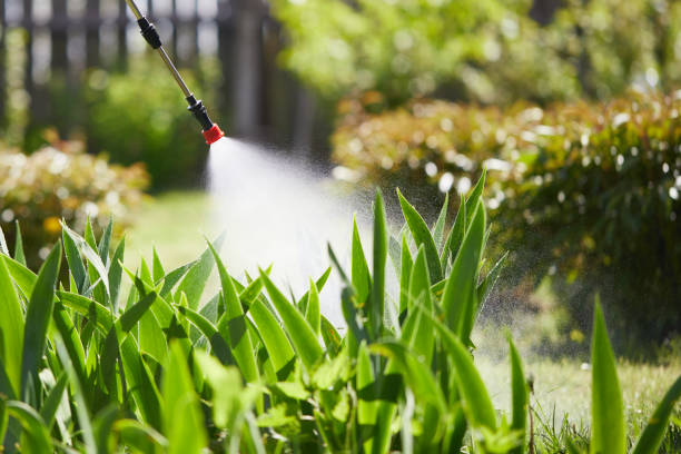 24/7 Emergency Mosquito Control experts in Sunnyslope, WA